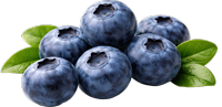 ブルーベリー