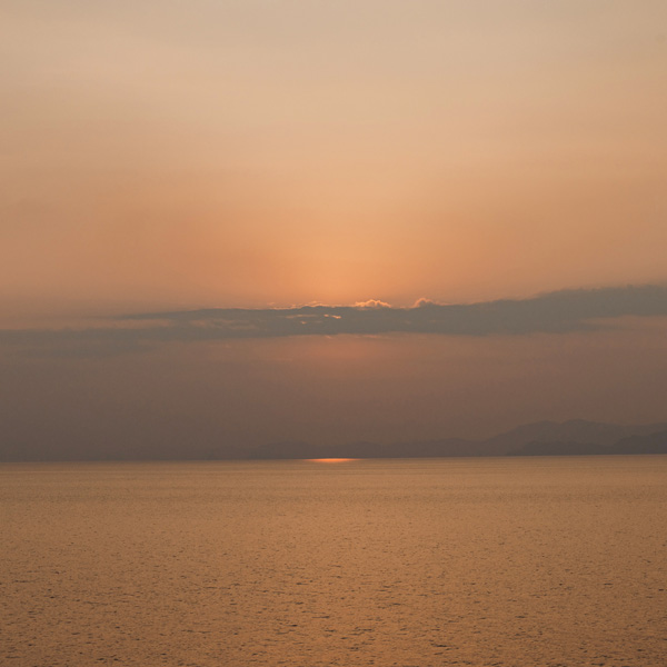 VELUNALOE FLAVOR Sun-Glow